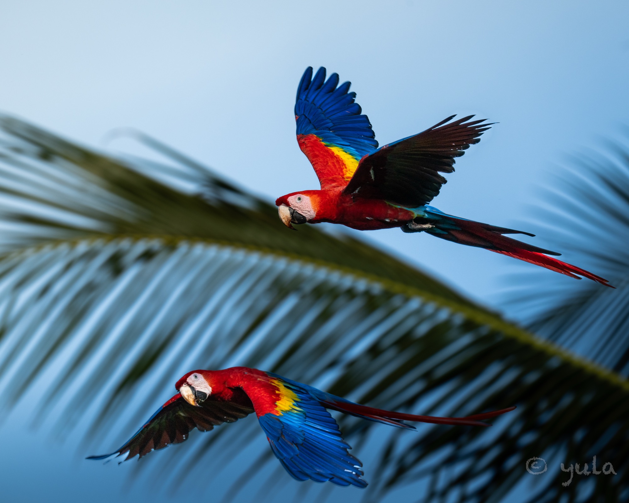 placeholder image-sq